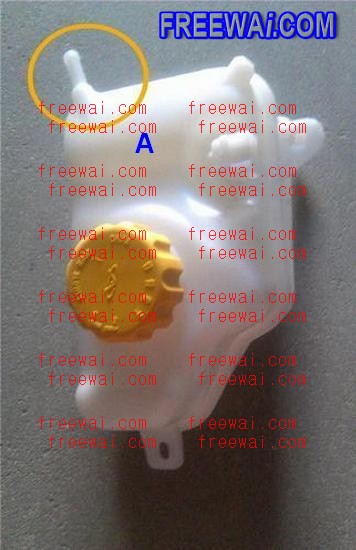 【Tomo】 Polaroid 14